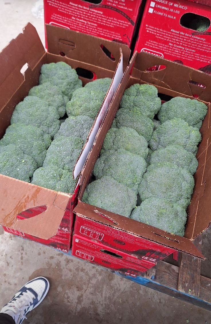 Broccoli crowns packed in TBC red cartons marked Produce of Mexico, crowns 20 lb, florets bulk